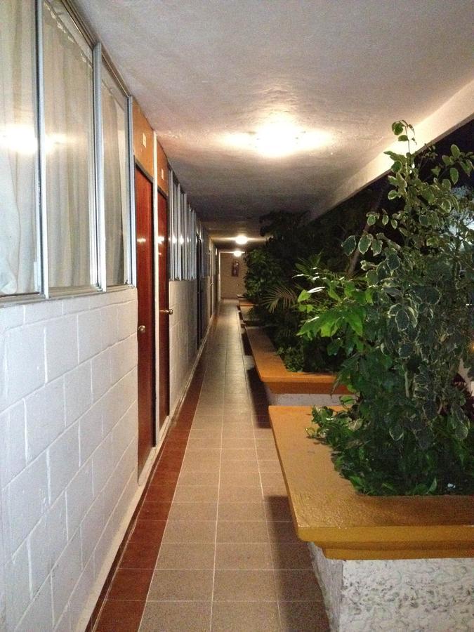 Hotel Safari Тустла-Гутьеррес Экстерьер фото
